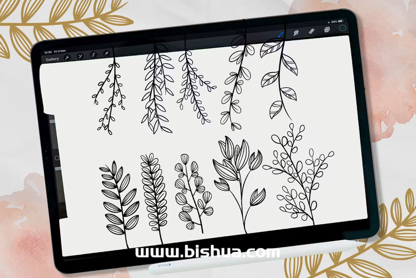 Procreate笔刷丨花卉图案笔刷