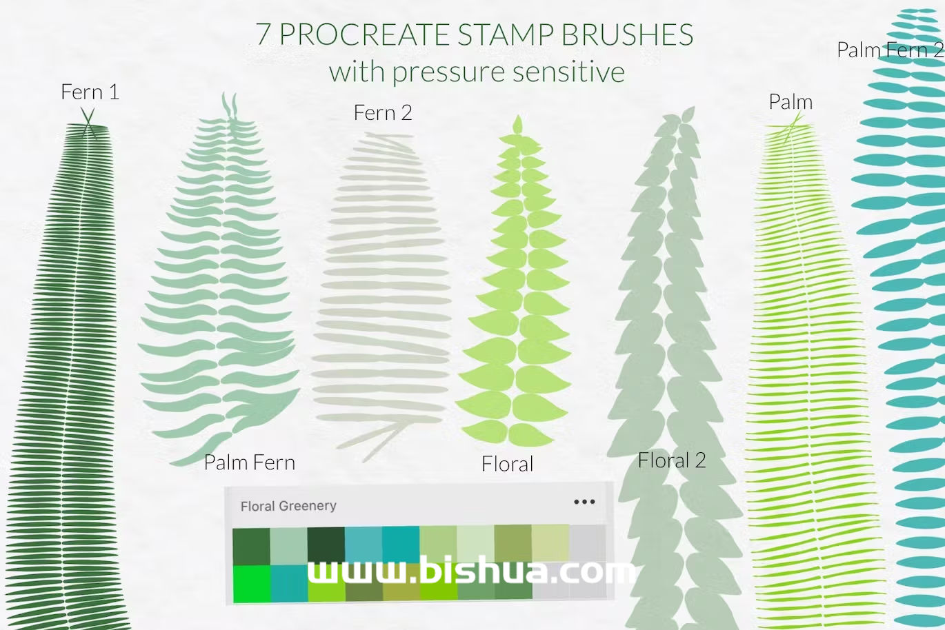 Procreate笔刷+色卡丨蕨类棕榈树，异国情调的丛林灌木丛纹理