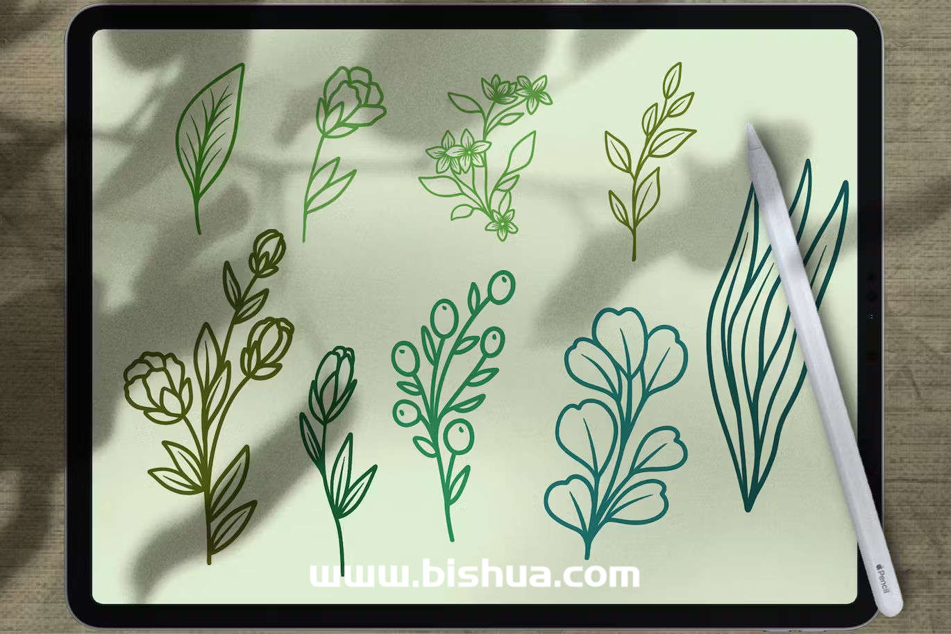 Procreate笔刷丨花卉图案笔刷