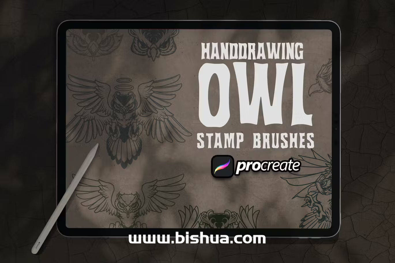 Procreate笔刷丨手绘猫头鹰印章笔刷套装